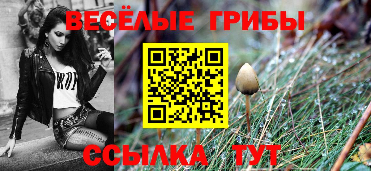 Новороссийск  Псилоцибиновые грибы мицелий  Вход с VPN  Галлюциногенные грибы ЛСД 