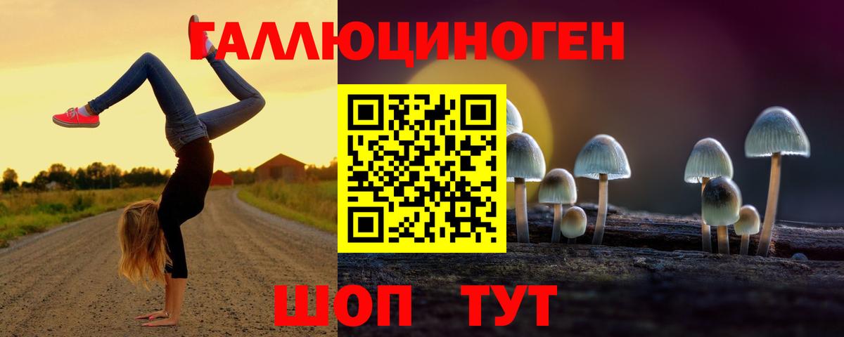Псилоцибиновые грибы GOLDEN TEACHER Новороссийск
